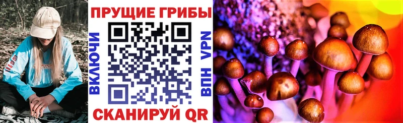 Псилоцибиновые грибы мухоморы  хочу   Жуков 